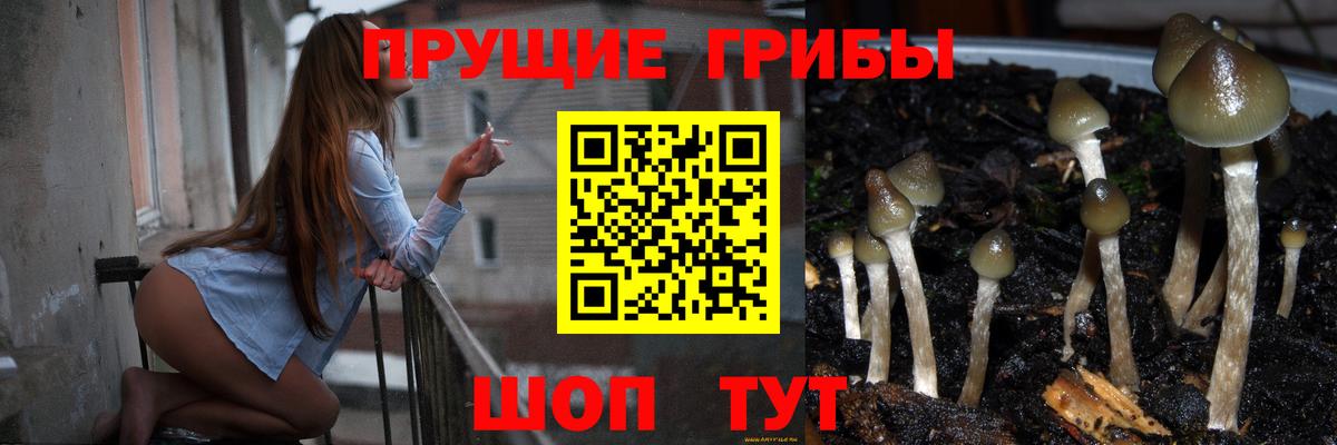 Псилоцибиновые грибы Magic Shrooms Россия